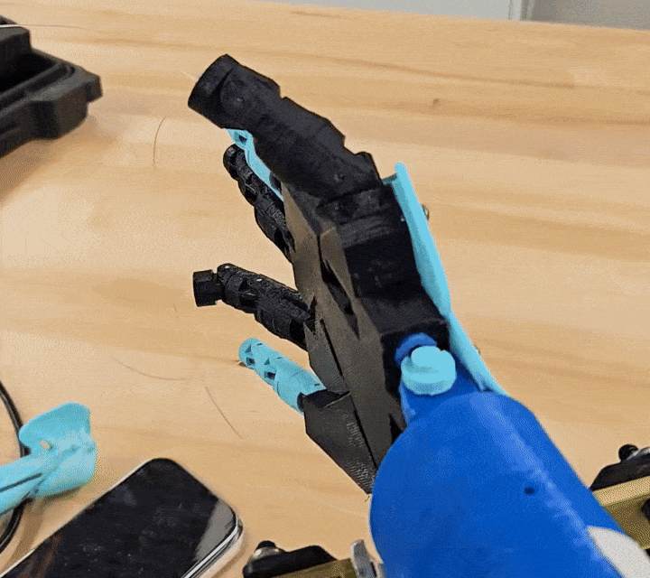 Biomechanics Day 2025 Demo