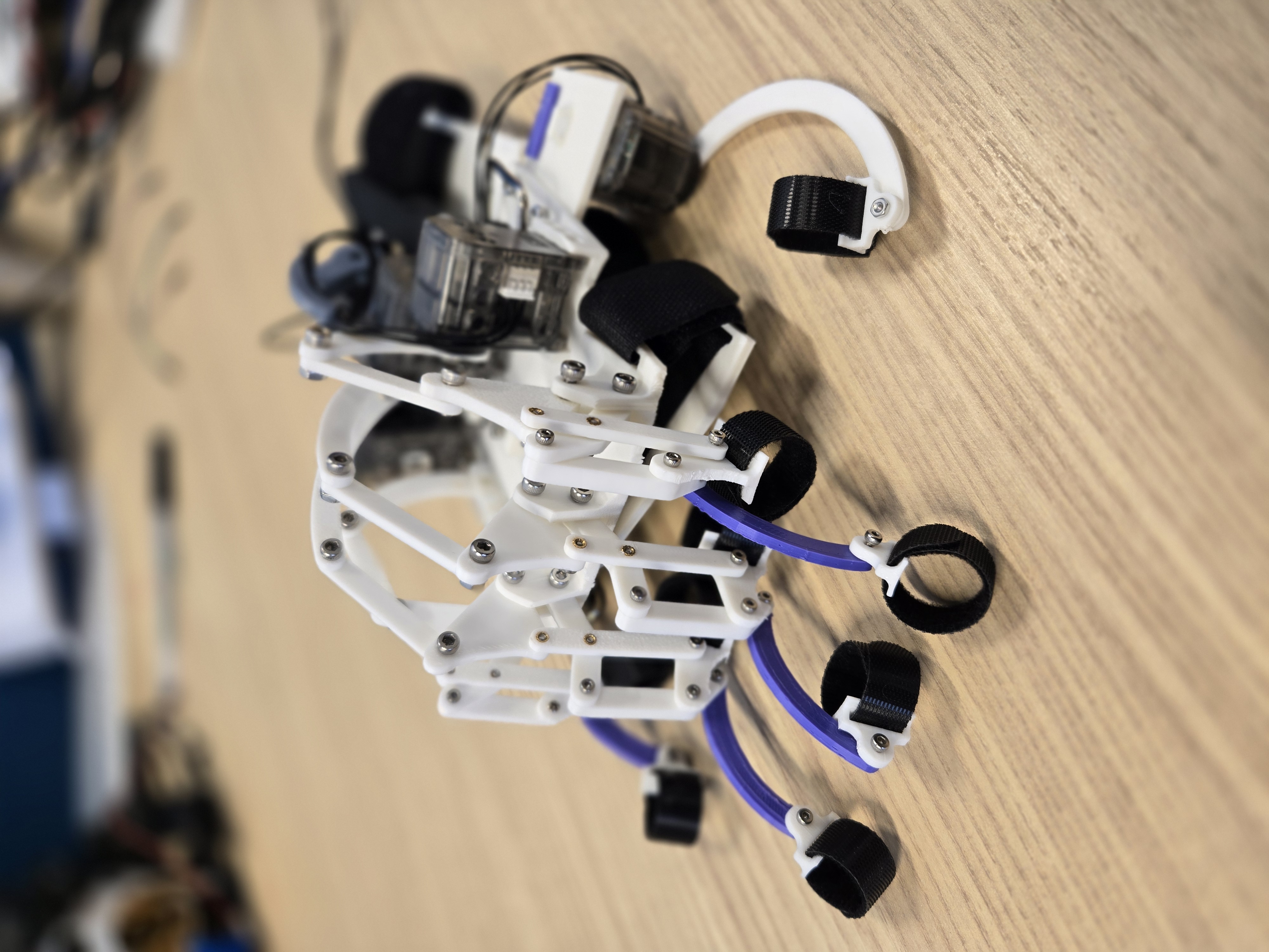 NML Hand Exoskeleton